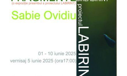 Expoziție Sabie Ovidiu „Fragmente din labirint” @ Centrul Internațional de Artă Contemporană – Baia Turcească din Iași
