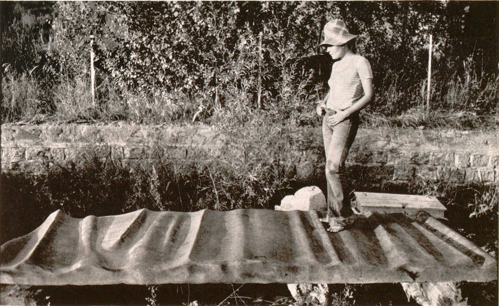 Adina Țuculescu, „Puntea”, 1974