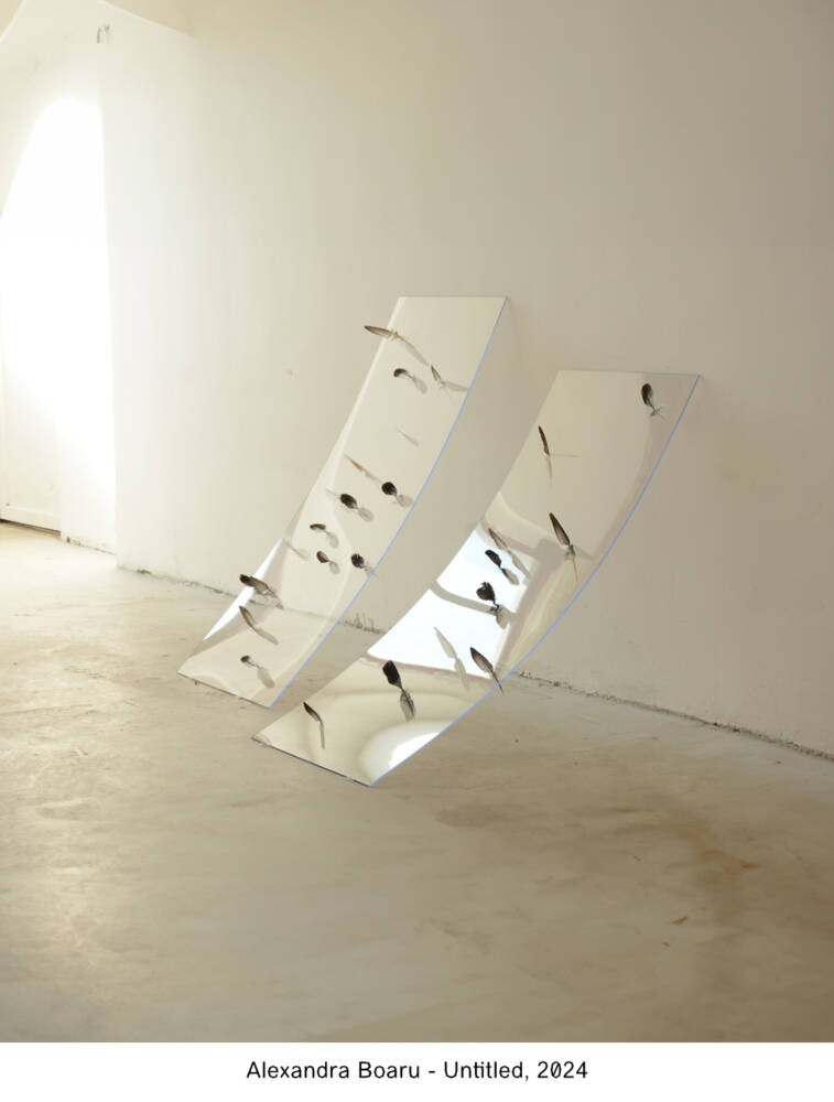 Alexandra Boaru - Untitled, 2024