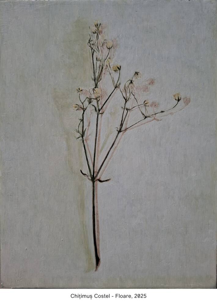 Chițimuș Costel - Floare