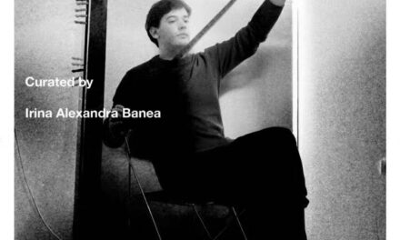 Expoziție personală Abel Rad „Staring at the Sun” @ Biju Gallery, Cluj-Napoca