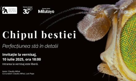 Muzeul Antipa deschide expoziția „Chipul bestiei. Perfecțiunea stă în detalii” – o incursiune spectaculoasă în lumea ascunsă a insectelor