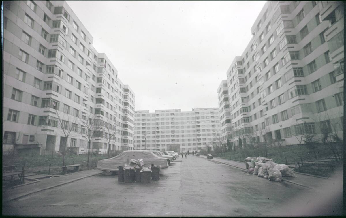 Balta Alba 1980_foto Ion Grigorescu