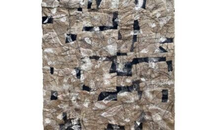 Expoziție Christian Paraschiv „Schimbarea la față” @ Galeria Romană, București