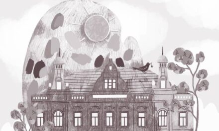 Muzeul de Artă Brașov lansează un OPEN CALL pentru artiști în cadrul unei noi ediții a proiectului Re:Imagine Brașov