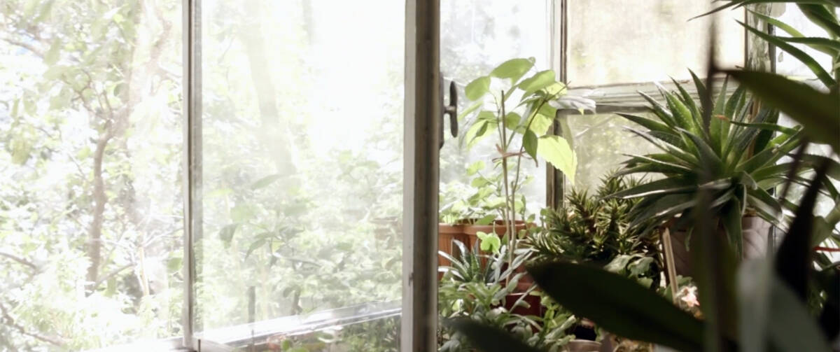 Still from 'My Socialist Home' - Iulia Statica and Adrian Catu-2021