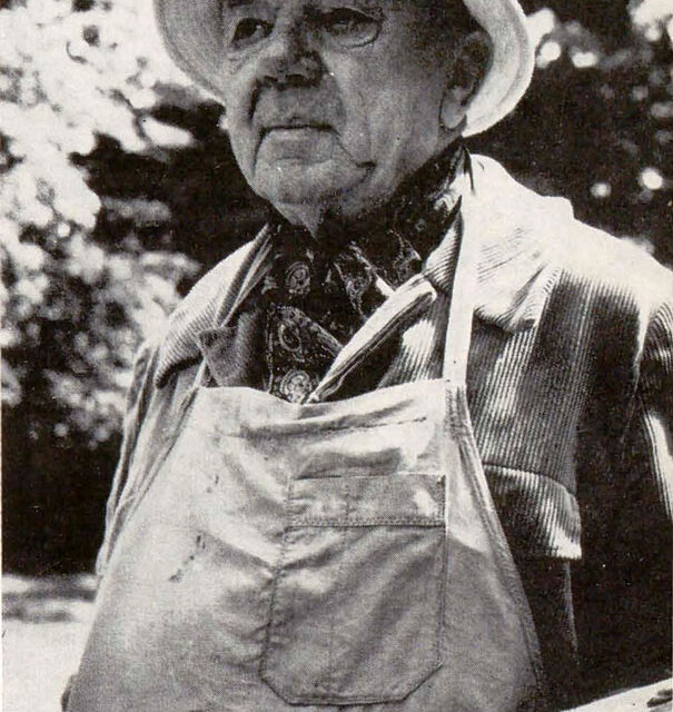 Aurel Ciupe, 1981