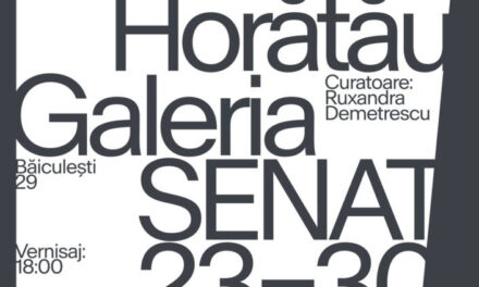 Dorina Horătău „16 metri pătrați” @ Galeria S.E.N.A.T., Combinatului Fondului Plastic