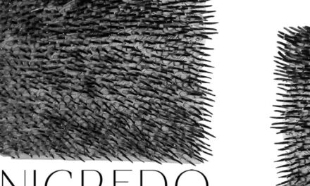 Expoziție Alina Tudor „Nigredo” @ Galeria Galateea Contemporary Art, București