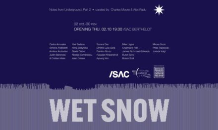 Expoziție internațională de grup „Wet Snow” @ /SAC Berthelot