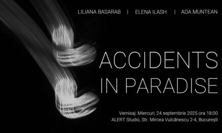 Expoziție Liliana Basarab, Elena Ilash, Ada Muntean „Accidents in Paradise” @ ALERT Studio, București