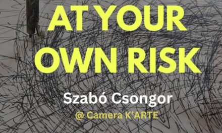 Expoziție Szabó Csongor „ENTER AT YOUR OWN RISK” @ Camera K’ARTE, Târgu Mureș