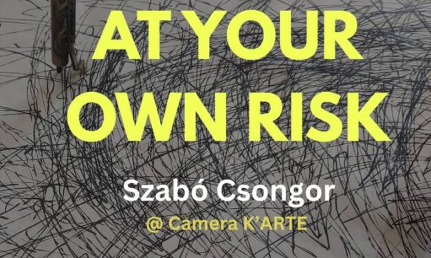 Expoziție Szabó Csongor „ENTER AT YOUR OWN RISK” @ Camera K’ARTE, Târgu Mureș