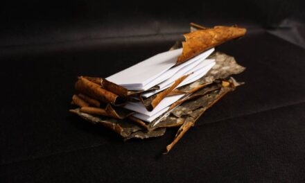 Expoziție Mihai Ionel „The Day After Green” @ Galeriile Municipale de Artă „Constantin Brâncuși” din Târgu Jiu,