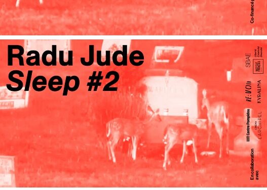 Radu Jude debutează în spațiul artelor vizuale cu instalația video Sleep #2, prezentată cu sprijinul ICR la Paris