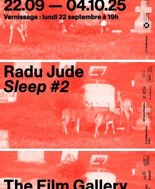 Radu Jude debutează în spațiul artelor vizuale cu instalația video Sleep #2, prezentată cu sprijinul ICR la Paris