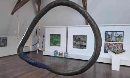 Expoziție Maxim Dumitraș „Absențe încercuite – Obiecte de mai bine” @ Museikon, Alba Iulia