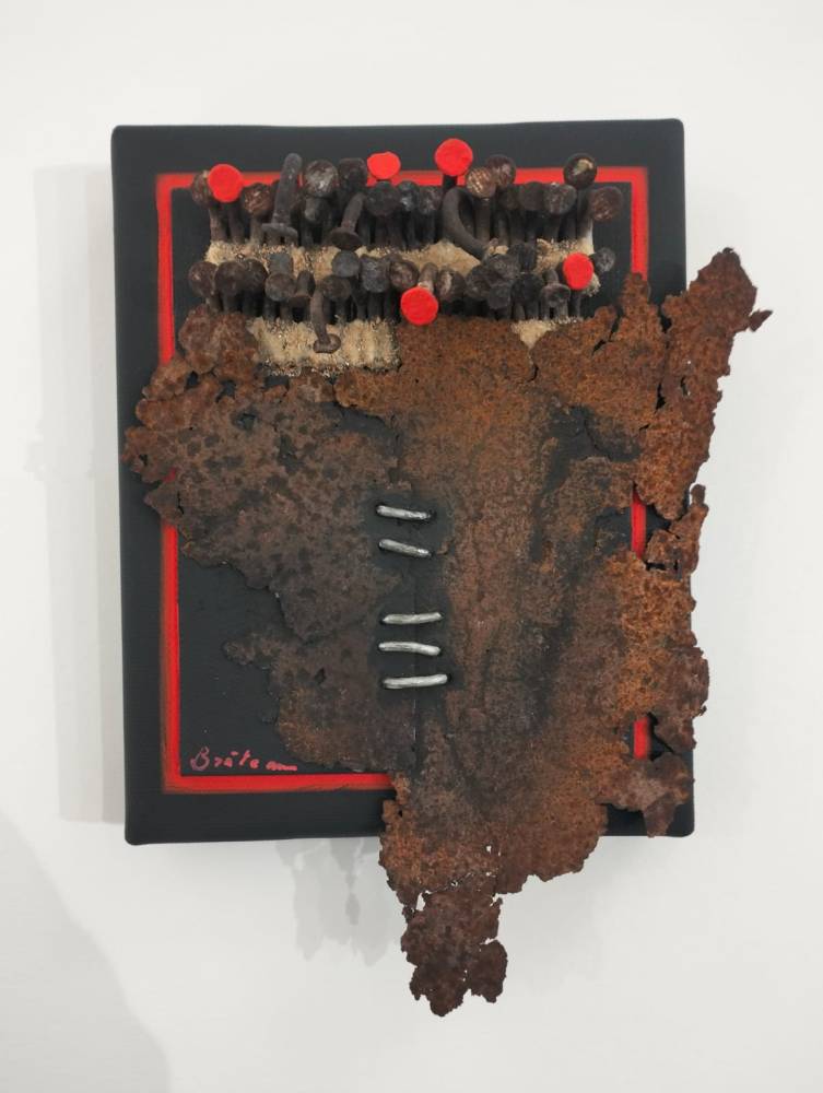 Costin Brăteanu_Timisoara