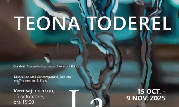 Expoziție Teona Toderel „La Strada” @ Muzeul de Artă Contemporană, Sibiu