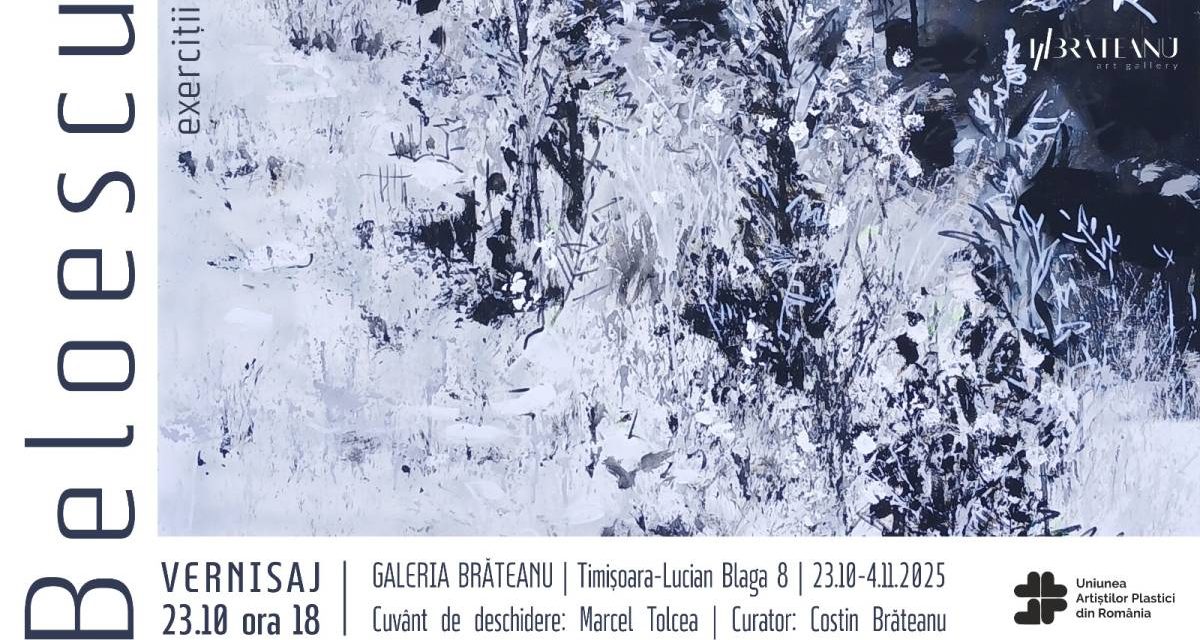 Expoziție Călin Beloescu „Exerciții” @ Galeria Brăteanu, Timișoara