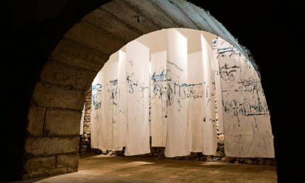 Expoziție de artă textilă Cristina Mocan „In situ. Intimitatea unei identități” @ Galeria Casa Matei a UAD Cluj-Napoca