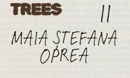Expoziție personală Maia Ștefana Oprea „My Old Growth Trees II” @ ETAJ artist run space, București