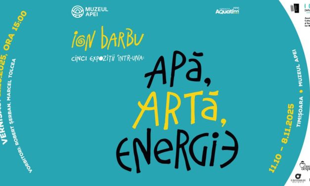 Ion Barbu prezintă APĂ, ARTĂ, ENERGIE la Muzeul Apei, Timișoara