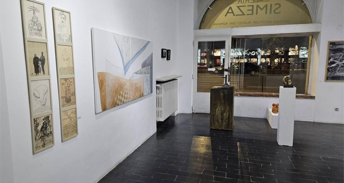 Salonul Național de Artă Contemporană, 2025: „Realități / Resurse | Irealități / Surse’’ @ Galeria Simeza din București