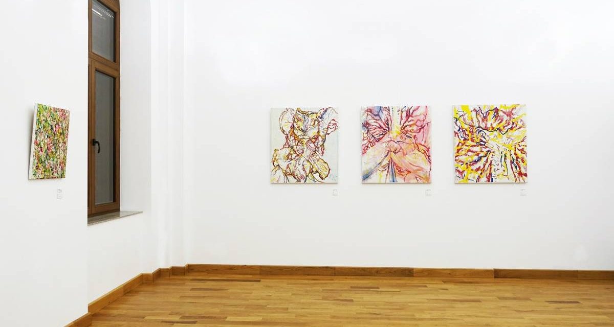Expoziția „Darul vederii”: Andreea Gabriela Tudor, Raluca Spătaru Iancu, Sorin Scurtulescu și Ciprian Bodea @ Casa Artelor, Galați
