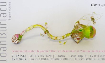 Expoziție de obiect și pictură Ioan Burlacu „drapele migrante’’ @ Galeria Brăteanu, Timișoara