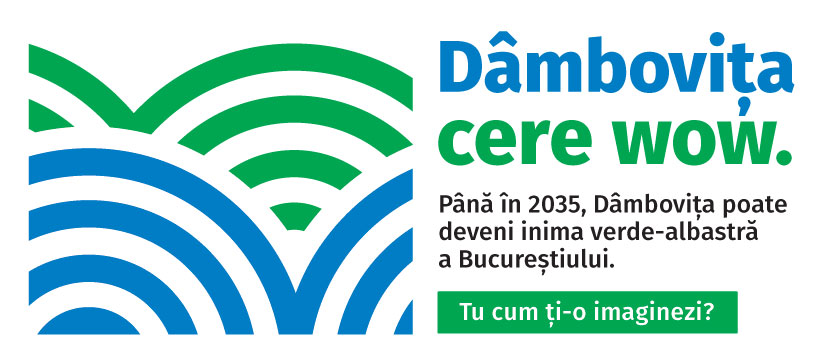 Viitorul Dâmboviței: idei internaționale pentru un oraș conectat