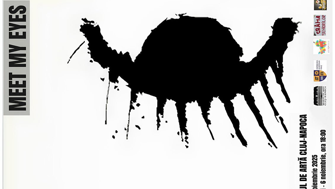 Expoziția de sculptură „Meet my eyes” @ Muzeul de Artă Cluj-Napoca