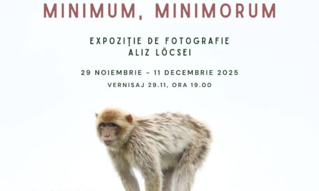 Expoziție Aliz Löcsei „Minimum, minimorum” @ Layer Gallery, București