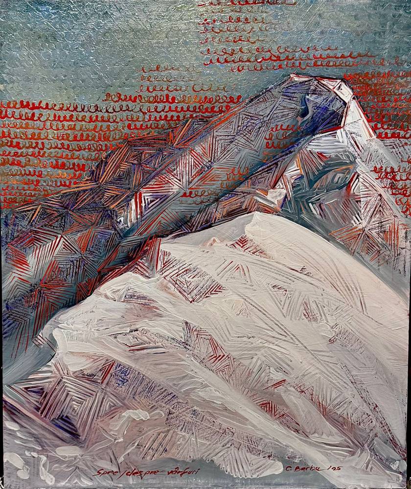 lucrare Catalin Barbu