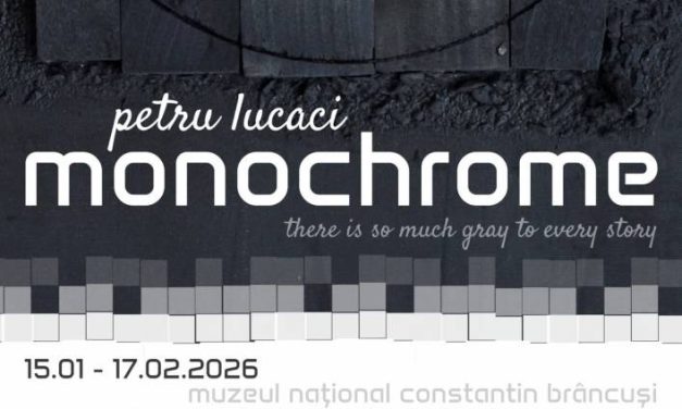 Expoziție Petru Lucaci „Monochrome. There is so much grey to every story” @ Muzeul Național ”Constantin Brâncuși”, Târgu Jiu