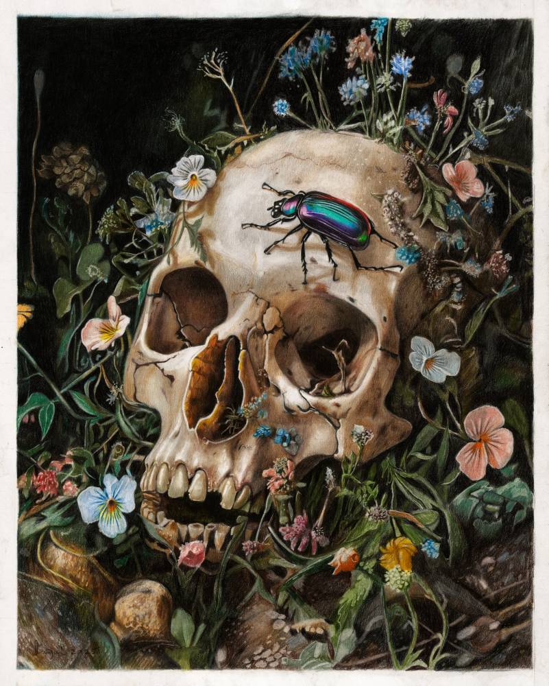 Memento_Mori_Florin_Dragoi