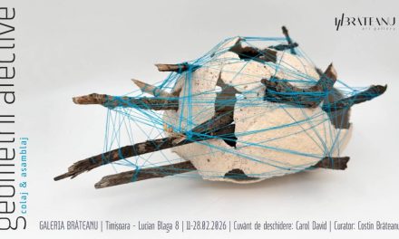 Expoziția colectivă de colaj și asamblaj ,,Geometrii afective’’ @ Galeria Brăteanu din Timișoara