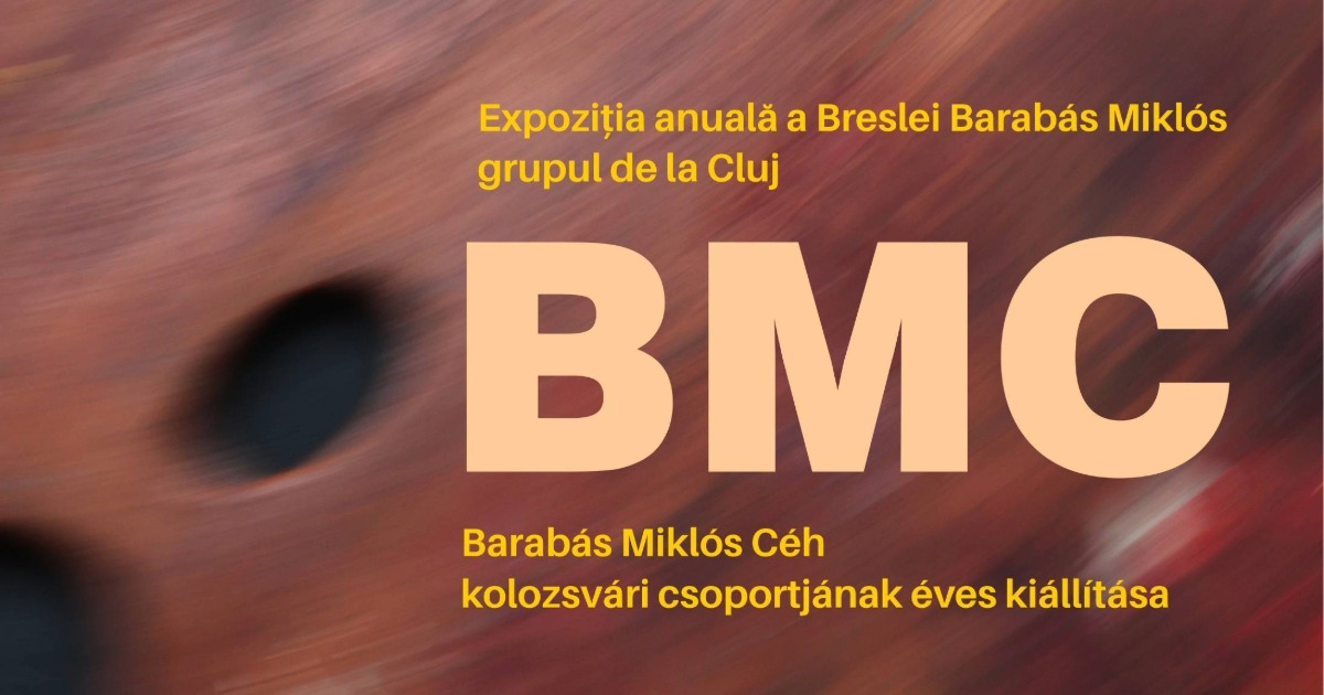 Expoziția anuală a grupului de la Cluj al Breslei Barabás Miklós @ Muzeul de Artă Cluj-Napoca