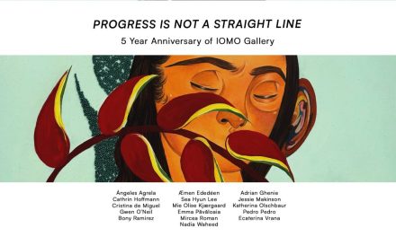 Expoziția “Progress Is Not A Straight Line” @ IOMO Gallery, București