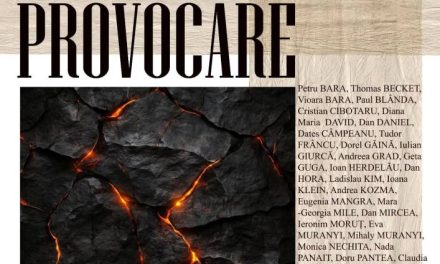 Expoziție de Artă Contemporană „PROVOCARE”, la Galerii de Artă -Reperaj. Cetate Oradea