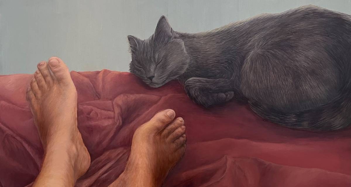 Expoziție Cristina Dobre „Domestic” @ Galeria Căminul Artei, Centrul Artelor Vizuale, București