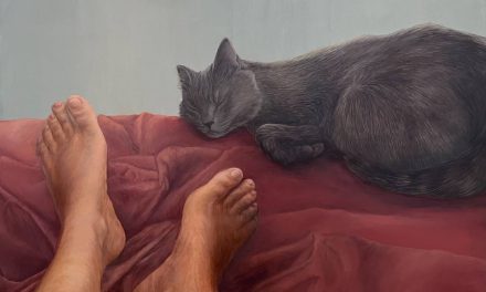 Expoziție Cristina Dobre „Domestic” @ Galeria Căminul Artei, Centrul Artelor Vizuale, București