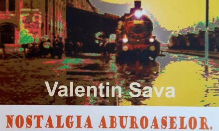 Abur și pixel – reconfigurări ale imaginii în epoca digitalizării. Expoziția „Nostalgia Aburoaselor – interpretare digitală”, semnată de artistul vizual Valentin Sava. Cronică de expoziție de drd. Petruța-Iulia Luchian