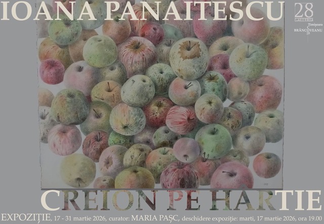 Expoziție Ioana Panaitescu „Creion pe hârtie” @ Galleria 28 din Timișoara