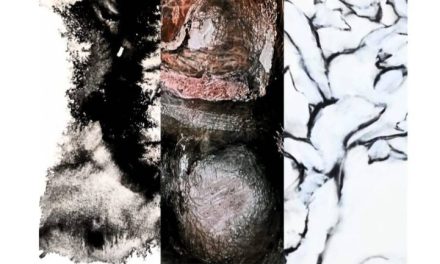 Expoziția „Introspecții în lumea vie” @ Galeria de Artă Cuhnie, Centrul de Cultură „Palatele Brâncovenești de la Porțile Bucureștiului”, Mogoșoaia
