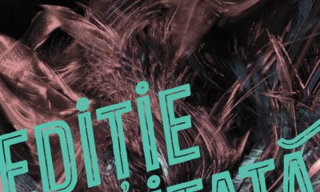 Expozitie ACEL GRUP București „Ediție limitată” @ Galeria din Piața Mare din Sibiu
