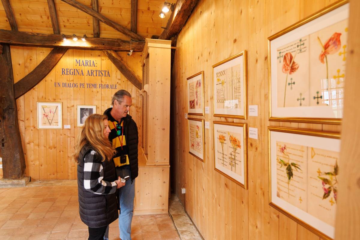 Expozitie Maria Regina Artista_The King's House Viscri (1)