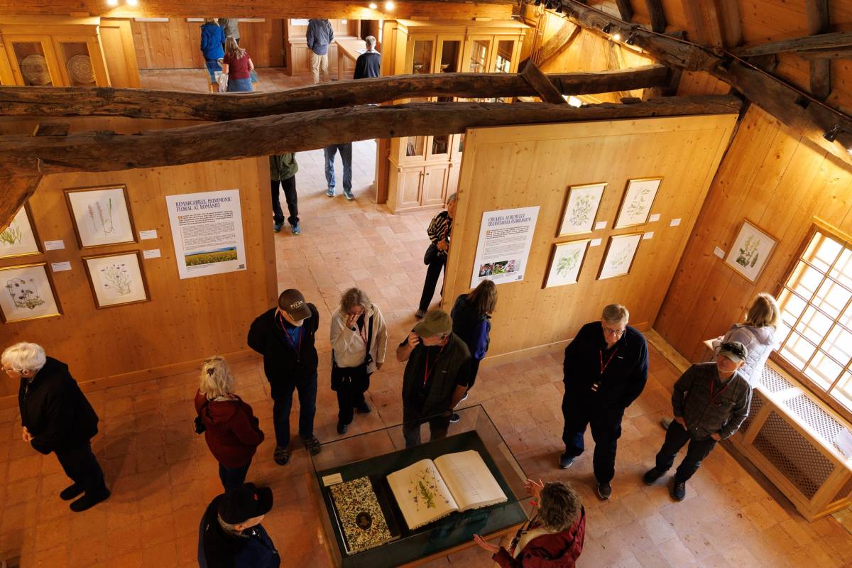 Expozitie Maria Regina Artista_The King's House Viscri (2)
