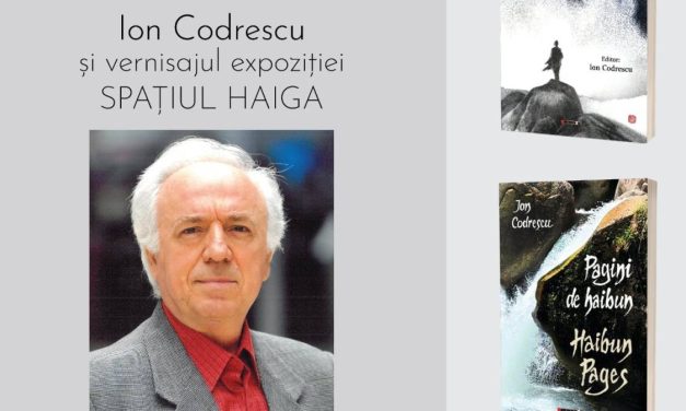 Ion Codrescu – spatiul Haiga @ Bogdania