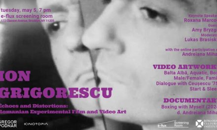 Ion Grigorescu. O seară de film experimental românesc la e-flux Screening Room din New York